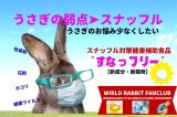 新商品“スナッフル健康補助食品すなっフリーSUNAFREE”クラウドファンディング スタートしました