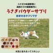 画像2: うさぎ 冬虫夏草配合サプリ10g 粉剤 健康 高齢 元気 本気で健康を考える子のために 高齢の子の体調管理に ぬるま湯に溶かして飲ませます (2)