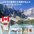 画像6: うさぎ  おいしくて栄養豊富 カナダ産 マーチンクラシック400g ラビットフード (6)