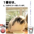 画像5: うさぎ  おいしくて栄養豊富 カナダ産 マーチンクラシック400g ラビットフード (5)