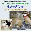 画像2: うさぎ 安心除菌 スプレー付き除菌消臭 うさっきんぐ300ccスプレー付き (2)