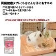 画像3: うさぎファンクラブ うさぎ乳酸菌 胃腸健康タブレット 30g  (3)