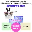 画像2: うさぎファンクラブ うさぎ乳酸菌 胃腸健康タブレット 30g  (2)
