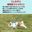 画像3: うさぎファンクラブ 植物性グルコサミンタブレット10g (3)
