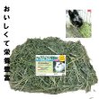 画像1: うさぎ アルファルファ牧草400g おいしい うさぎ大好き 栄養豊富 (1)