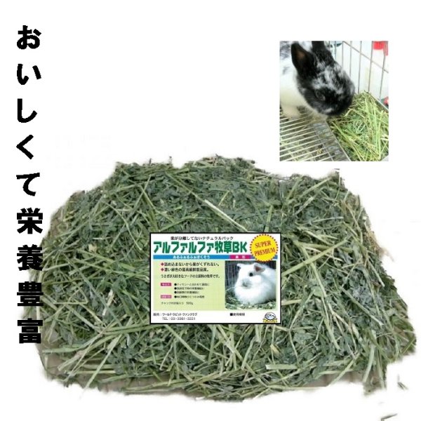 画像1: うさぎ アルファルファ牧草400g おいしい うさぎ大好き 栄養豊富 (1)