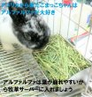 画像5: うさぎ アルファルファ牧草400g おいしい うさぎ大好き 栄養豊富 (5)