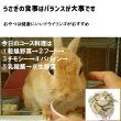 画像2: うさぎファンクラブ りんごドライチップ50g 青森りんご 健康おやつ すごくおいしい うさぎ大好き (2)