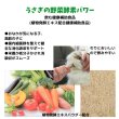 画像2: うさぎファンクラブ うさぎの野菜酵素パワー10g 飲ませる健康食品  (植物発酵エキス配合健康補助食品) (2)