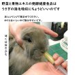 画像3: うさぎファンクラブ うさぎの野菜酵素パワー10g 飲ませる健康食品  (植物発酵エキス配合健康補助食品) (3)