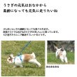 画像4: うさぎファンクラブ シニア腸活タブレット10g (4)