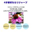 画像3: うさぎファンクラブ リジャーブタブレット10g すこやか呼吸サポート (3)