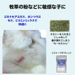 画像5: うさぎファンクラブ リジャーブタブレット10g すこやか呼吸サポート (5)