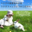 画像6: うさぎファンクラブ リジャーブタブレット10g すこやか呼吸サポート (6)