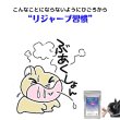 画像2: うさぎファンクラブ リジャーブタブレット10g すこやか呼吸サポート (2)