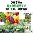 画像3: うさぎファンクラブ うさぎ大好き野菜タブレット15g (3)