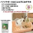 画像6: うさぎ 毛球症予防 パパイヤボール10g (6)