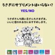 画像11: うさぎ 毛球症予防 パパイヤボール10g (11)