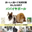 画像7: うさぎ 毛球症予防 パパイヤボール10g (7)