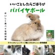 画像4: うさぎ 毛球症予防 パパイヤボール10g (4)
