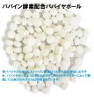 画像10: うさぎ 毛球症予防 パパイヤボール10g (10)