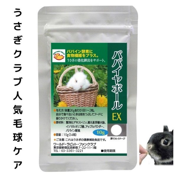 画像1: うさぎ 毛球症予防 パパイヤボール10g (1)