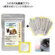 画像1: うさぎファンクラブ 濃い粉末乳酸菌サプリメント 超(腸)元気10g+注入シリンジ10本セット 飲ませる健康剤 (1)