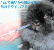 画像2: うさぎファンクラブ 強制給餌シリンジ1cc ×10本セット 1ミリリットル 細くて飲ませやすい 使い捨て フード粉 液 ジュース (2)