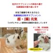 画像2: うさぎファンクラブ 濃い粉末乳酸菌サプリメント 超(腸)元気10g+注入シリンジ10本セット 飲ませる健康剤 (2)