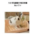 画像5: うさぎファンクラブ 濃い粉末乳酸菌サプリメント 超(腸)元気10g+注入シリンジ10本セット 飲ませる健康剤 (5)