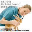 画像6: うさぎファンクラブ うさぎ栄養強化パウダー うさエネパワー10g (6)