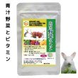 画像1: うさぎ 緑黄色野菜タブレット30g ビタミン 青汁野菜 栄養サプリ (1)