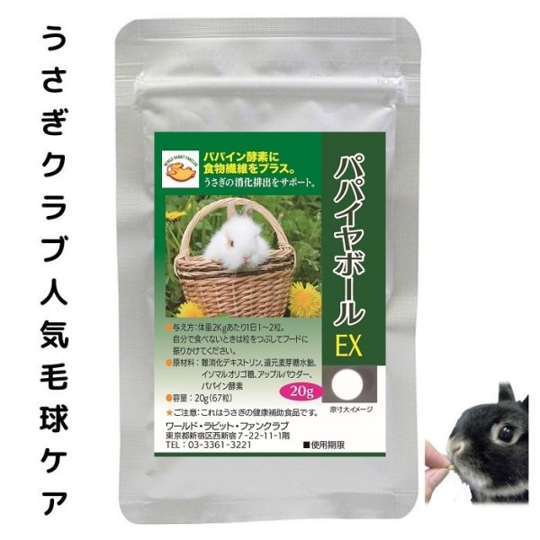 画像1: うさぎ 毛球症予防 パパイヤボール20g (1)
