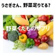 画像2: うさぎ 緑黄色野菜タブレット30g ビタミン 青汁野菜 栄養サプリ (2)