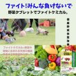 画像6: うさぎ 緑黄色野菜タブレット30g ビタミン 青汁野菜 栄養サプリ (6)