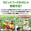 画像8: うさぎ 緑黄色野菜タブレット30g ビタミン 青汁野菜 栄養サプリ (8)