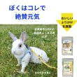 画像6: うさぎ総合健康補助食品AIO 10g うさぎの健康にいいもの全部入り粉末 (6)