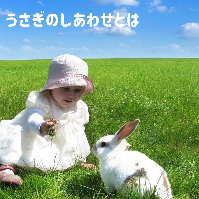 うさぎにとってしあわせとは