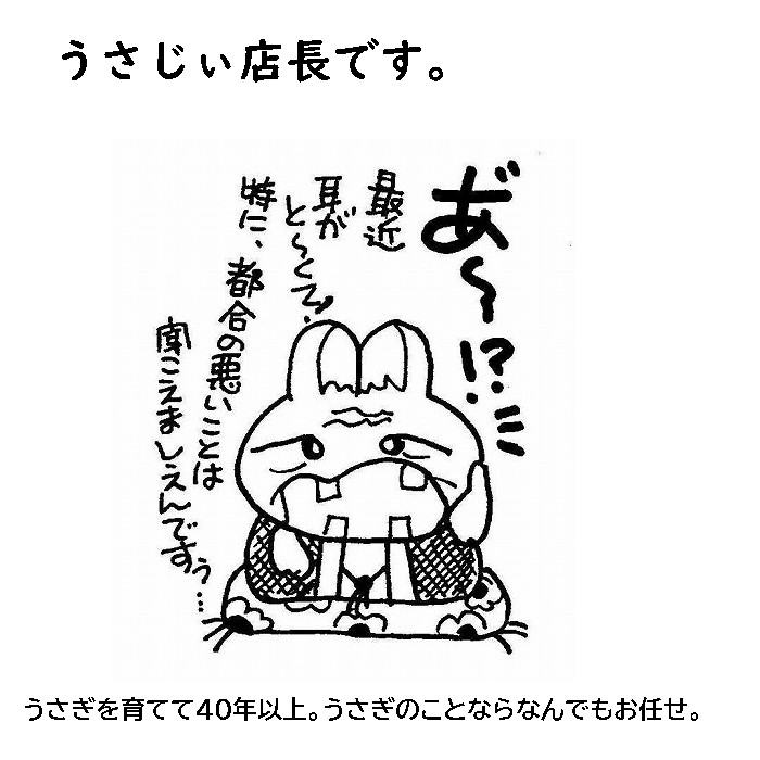 うさぎ長生きの秘訣
