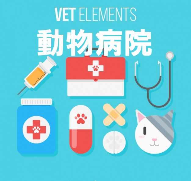 動物病院にかかるときはこんなことに気を付けて