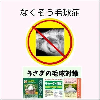 毛玉症予防の合言葉「パパイン、チモシー、乳酸菌」
