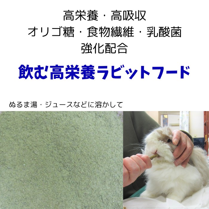 ☆ロミオレオンの週一・・SOSの時のために『うさぎさんの強制